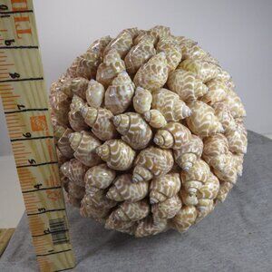 Giant Sea Shell REAL Ball - Orb - 28.5" round 3lbs+ Coastal Decoration